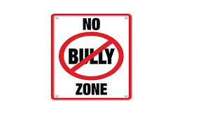 Anti- Bullying 